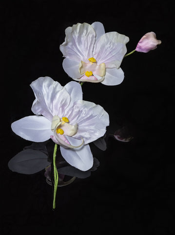 Silk Flora - Two Days Workshop Orchids & Camellias - Perth