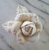 Silk Flora - Three Days Workshop - Adelaide